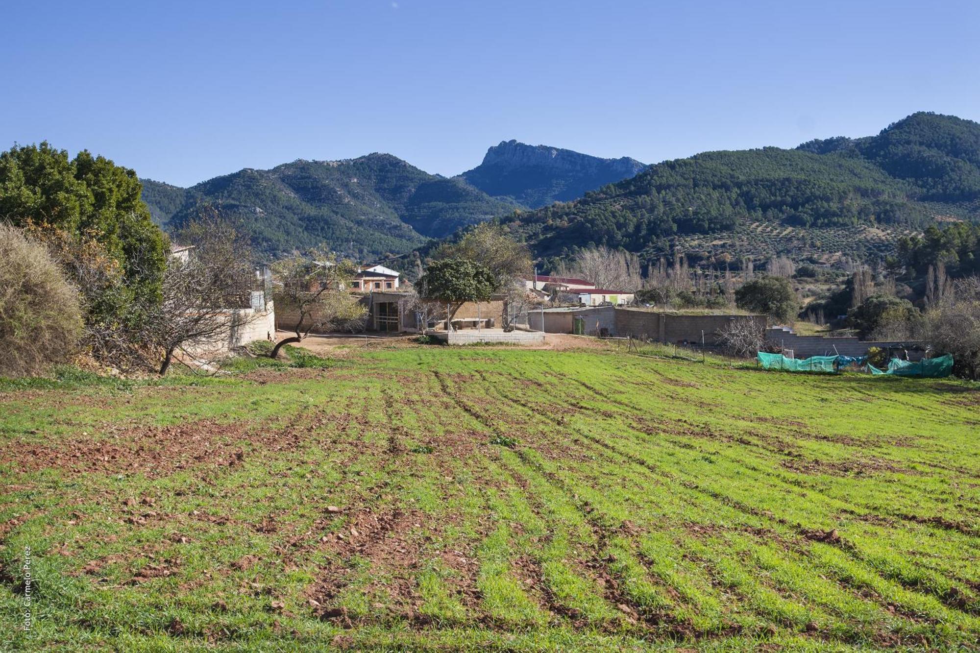 Bienservida Casa Rural Chache Casto מראה חיצוני תמונה